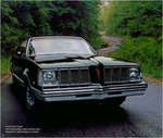 1980 Pontiac-32